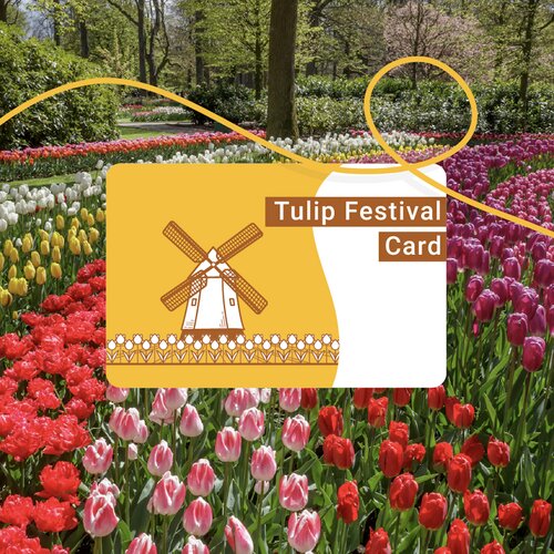 778-_pass_à_amsterdam__carte_de_la_fête_des_tulipes