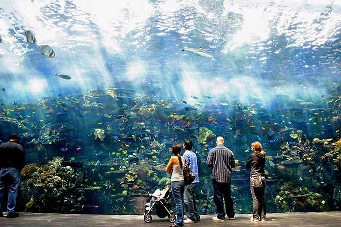  city-pass-atlanta-mobile-entree-aquarium