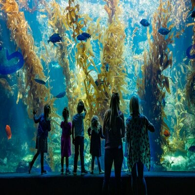  birch-aquarium-at-scrippsinstitution-of-ocean-ography