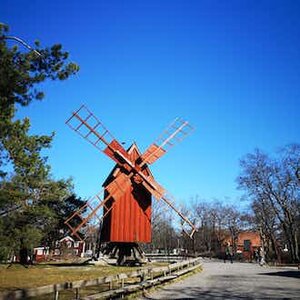  skansen-zoo-stockholm-day-experience