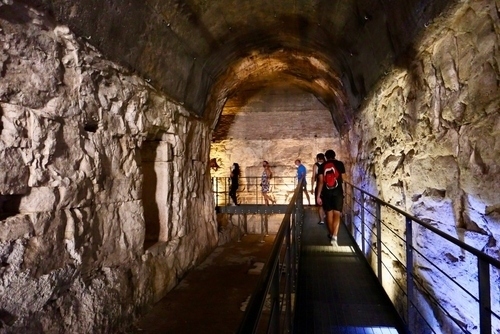  visite-guidee-colisee-forum-romain-mont-palatin