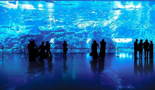  aquarium-de-dubai-billet-entree-combine-burj-khalifa
